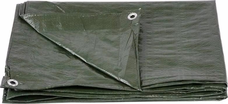 Telo Tarpaulin Light 4x5 m, 65 g/m2, di copertura, verde, con occhielli
