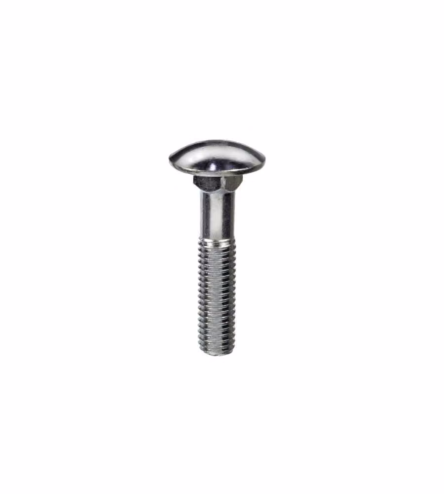 Bulloni Testa Cieca  5 x 30 mm 6 pezzi