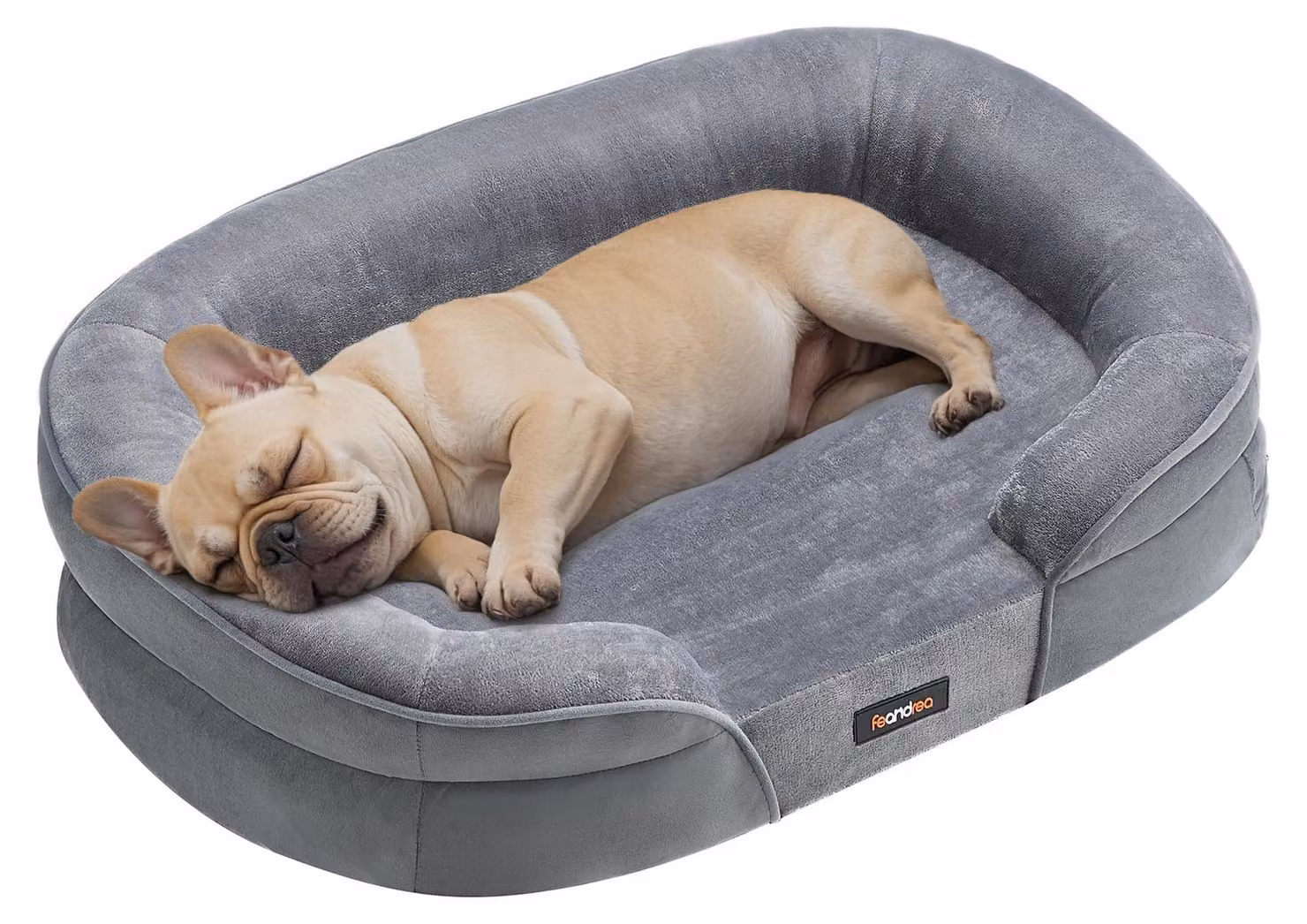 Cuccia ortopedica per cani di medie dimensioni, marca Feandrea, colore grigio chiaro, dimensioni L 76 x P 51 x H 18 cm