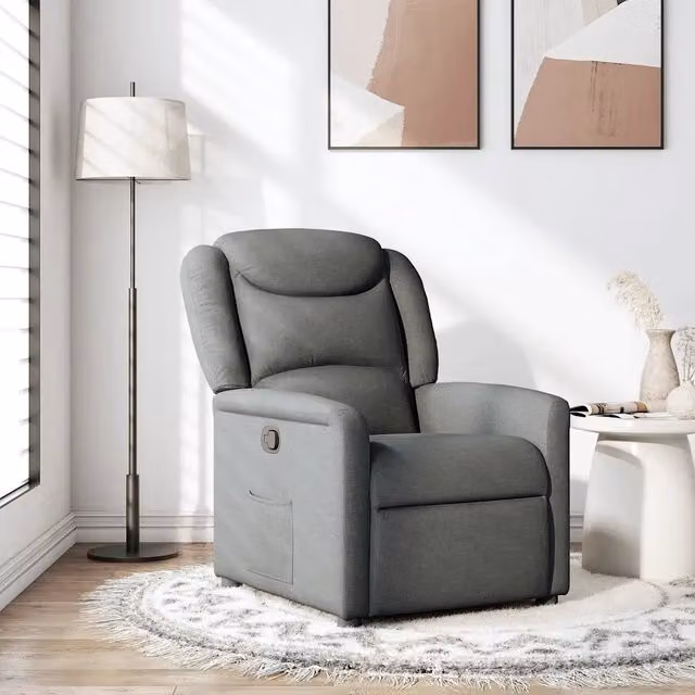 Divano Sedia-Poltrona Reclinabile in Tessuto Grigio Scuro 860174