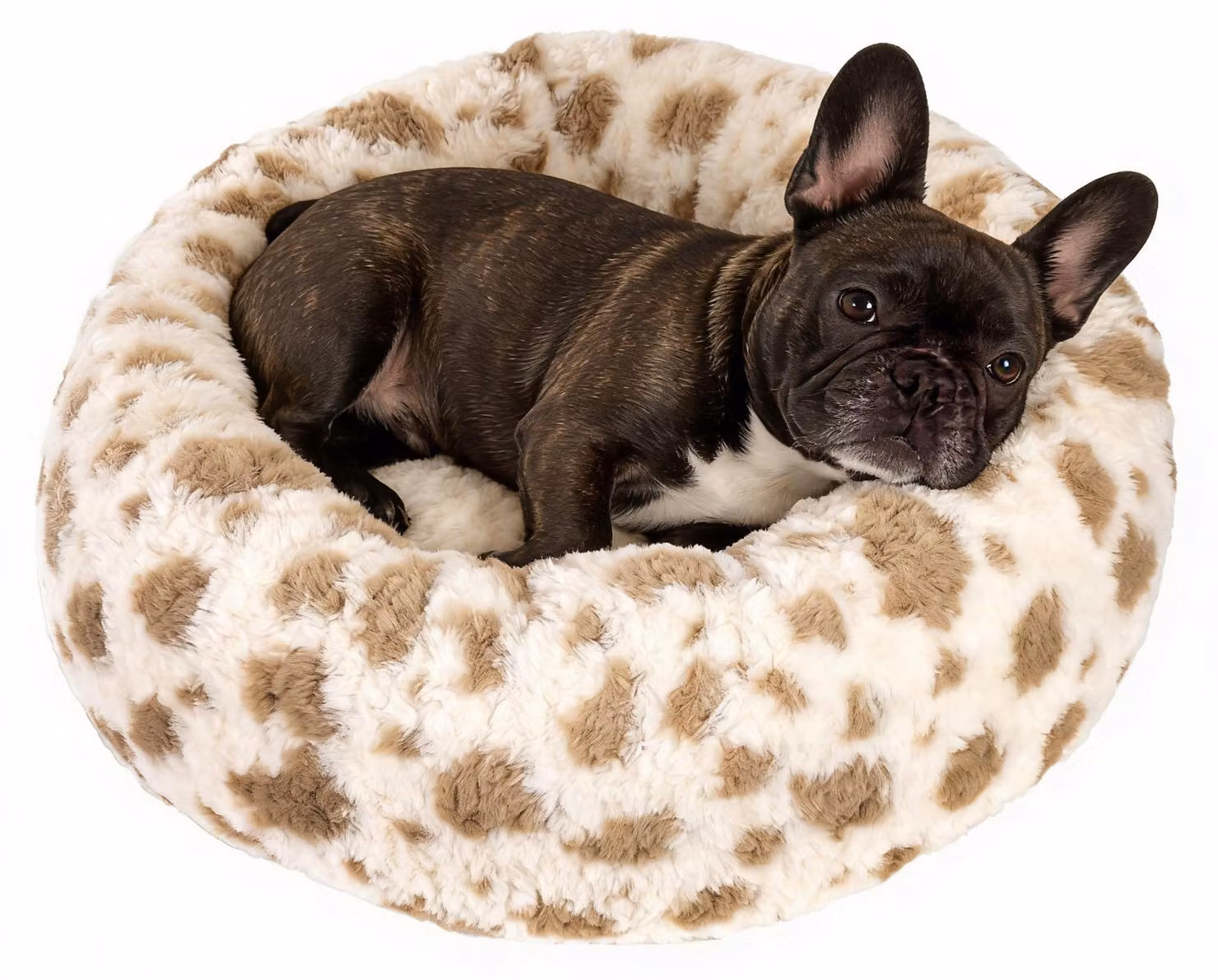 Cuccia a forma di ciambella, adatta a cani e gatti, forma rotonda, rivestimento removibile e lavabile, colore crema, taglia M