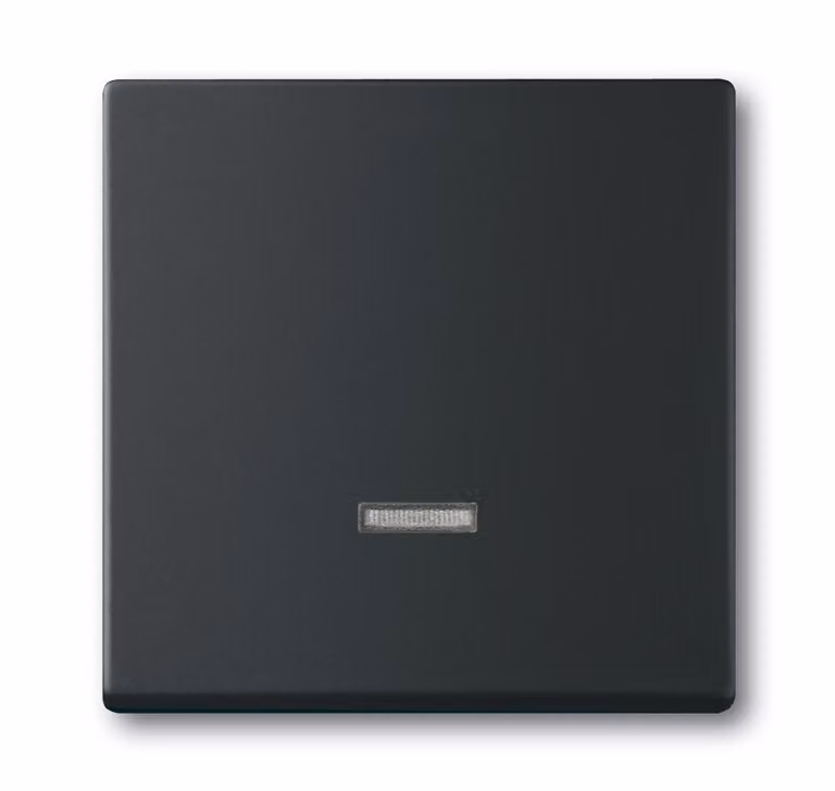 Busch Jaeger 2CKA006599A2968 Elektroantrieb IP20 Schwarz (2CKA006599A2968)