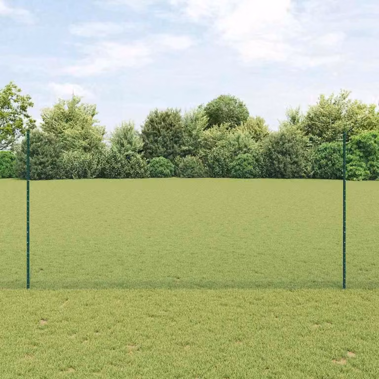 Maison Exclusive - Recinzione con Posto Verde 1,6 x 25 m Acciaio e PVC