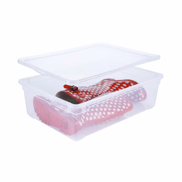 Contenitore di stoccaggio "Clear Box" da 22 litri con coperchio, dimensioni 55 x 37,5 x 16 cm