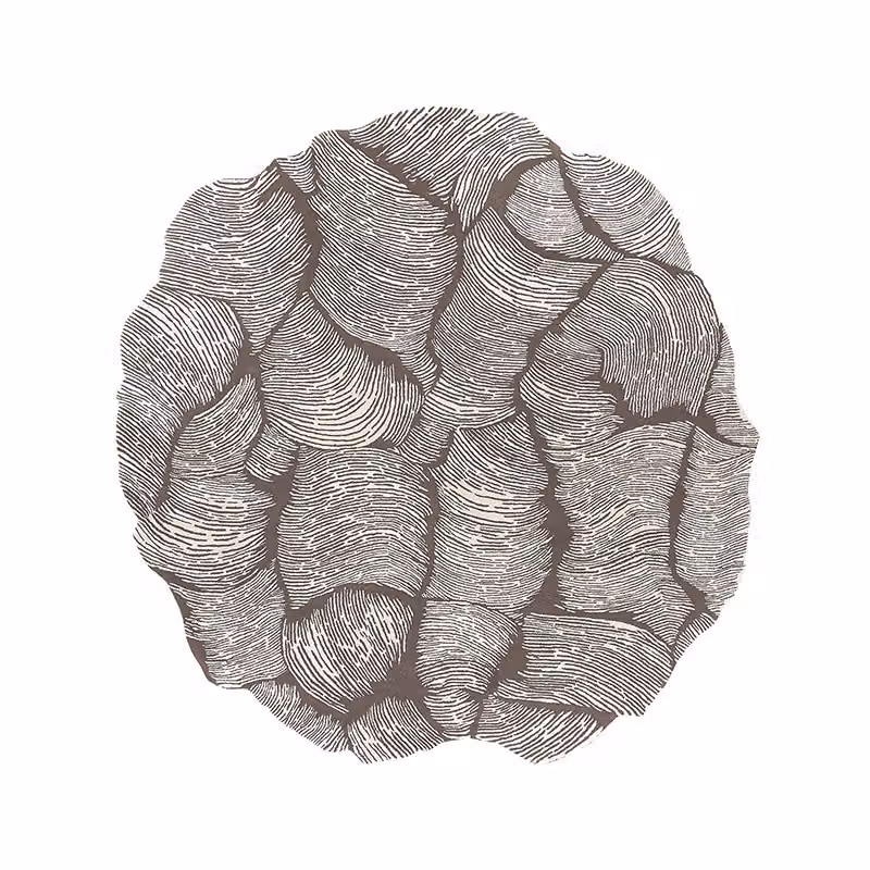 Tappeto Mohebban Oceano Round taupe