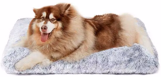 Enorme cuccia in peluche per cani, cuscino lavabile per cani, tappetino antiscivolo per cani con pelo lungo, grigio, 120x90 cm