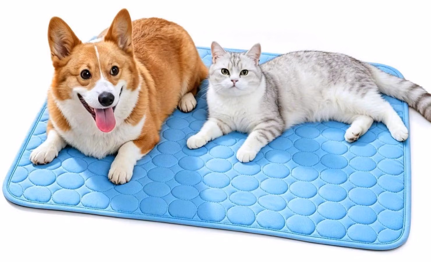 Tappetino refrigerante per cani e gatti, autorigenerante, 50x40 cm, colore blu
