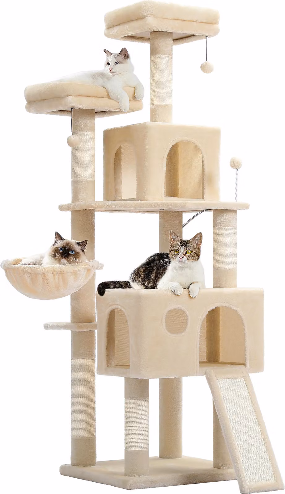 Albero per gatti, ampia piattaforma di osservazione, doppi appartamenti, AMT0181BG