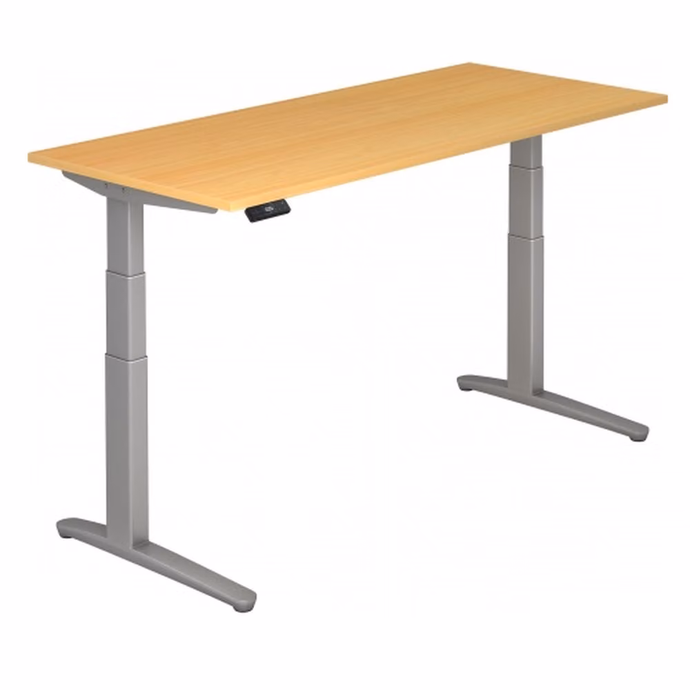 XBHM 19 SS - Faggio 180 x 80, regolabile elettricamente in altezza