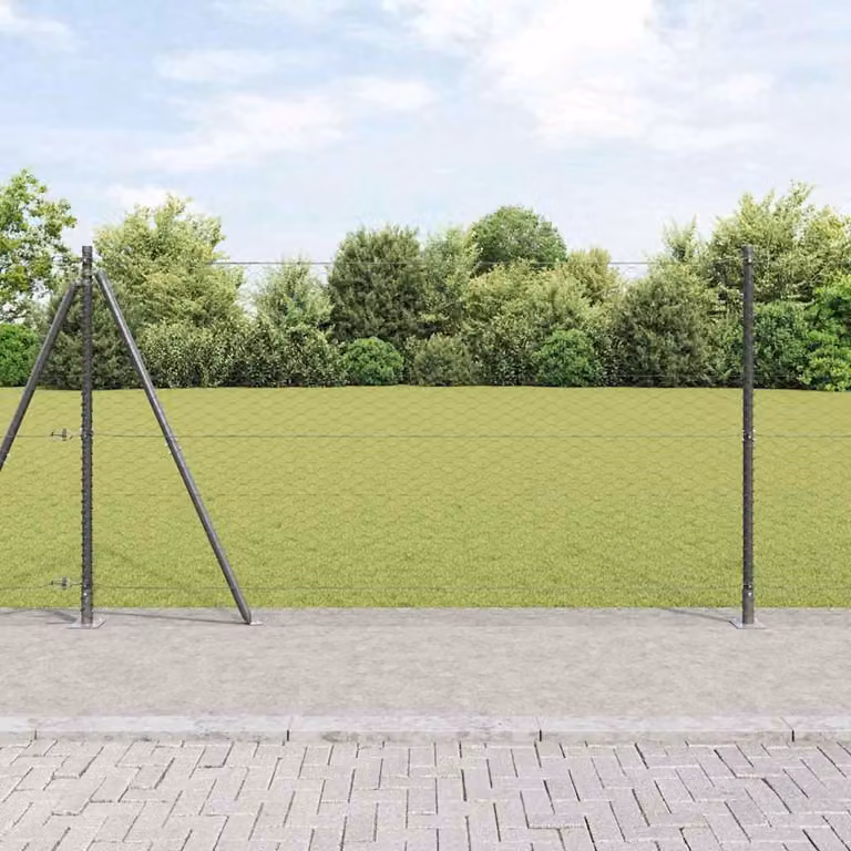 Maison Exclusive - Palo della recinzione Grigio 100 x 1,5 m (rete da 36 mm)