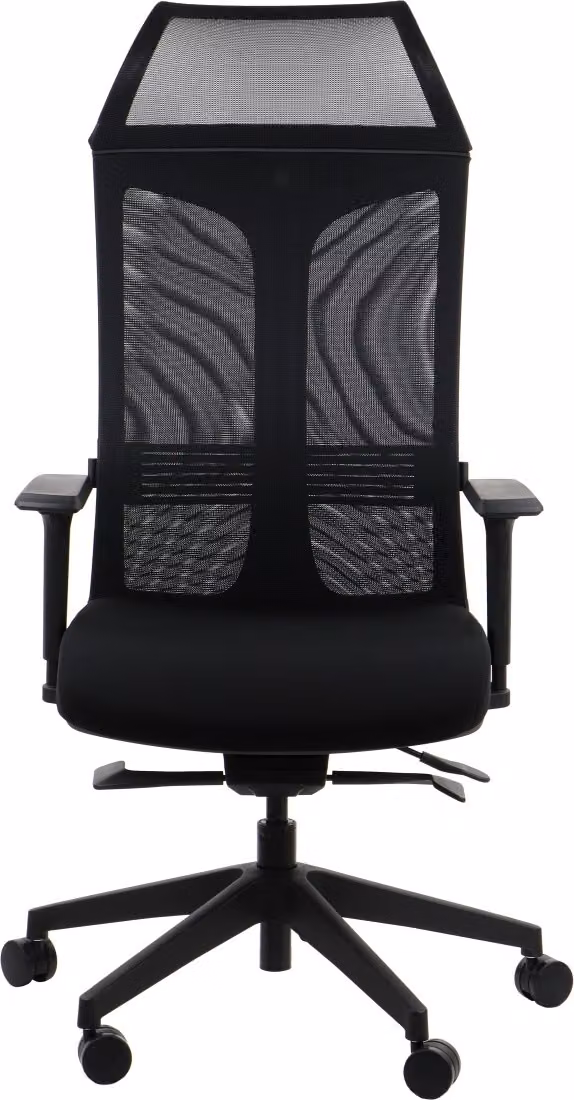 Sedia da ufficio ergonomica girevole RYDER, braccioli regolabili, poggiatesta, seduta scorrevole (avanti-indietro), nero