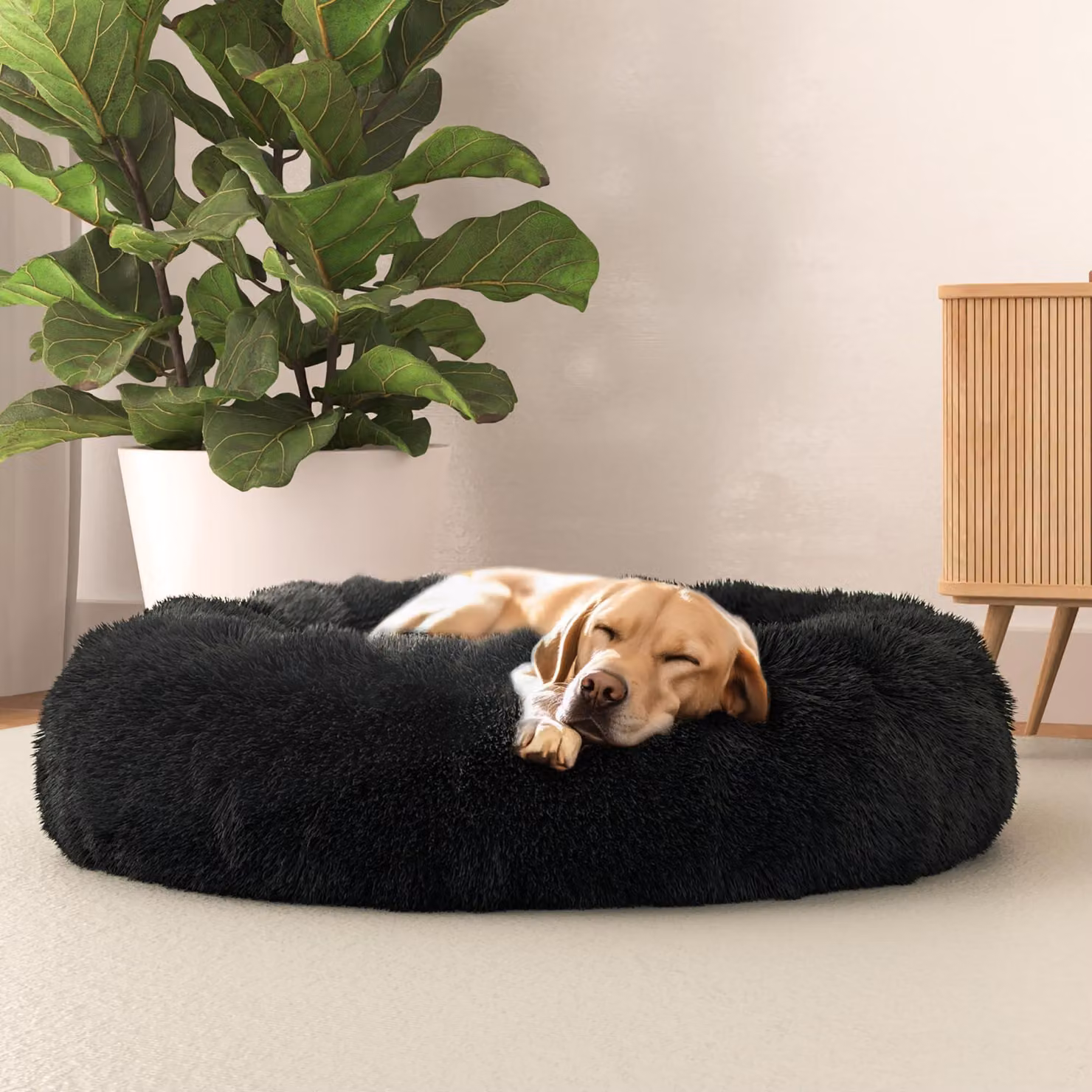 Cuccia per cani - Tessuto poliestere morbido - Materiale: petrolio - Dimensioni: 70x70 cm