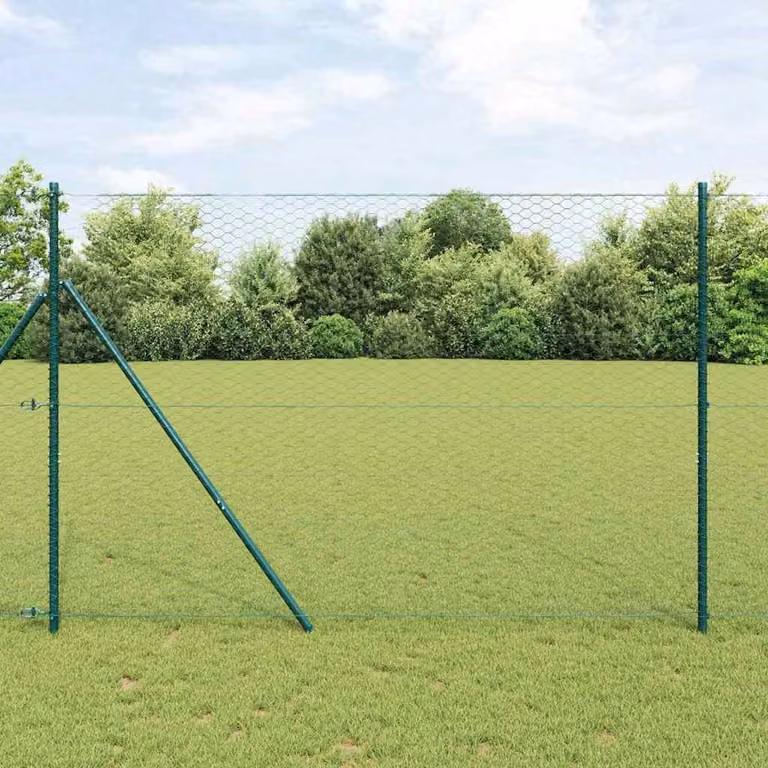 Maison Exclusive - Recinzione a maglia esagonale, 1,6 x 100 metri, PVC, colore verde