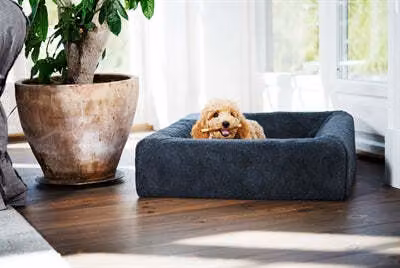 BIA -Pile letto -Scarpe Hondmand Grigio