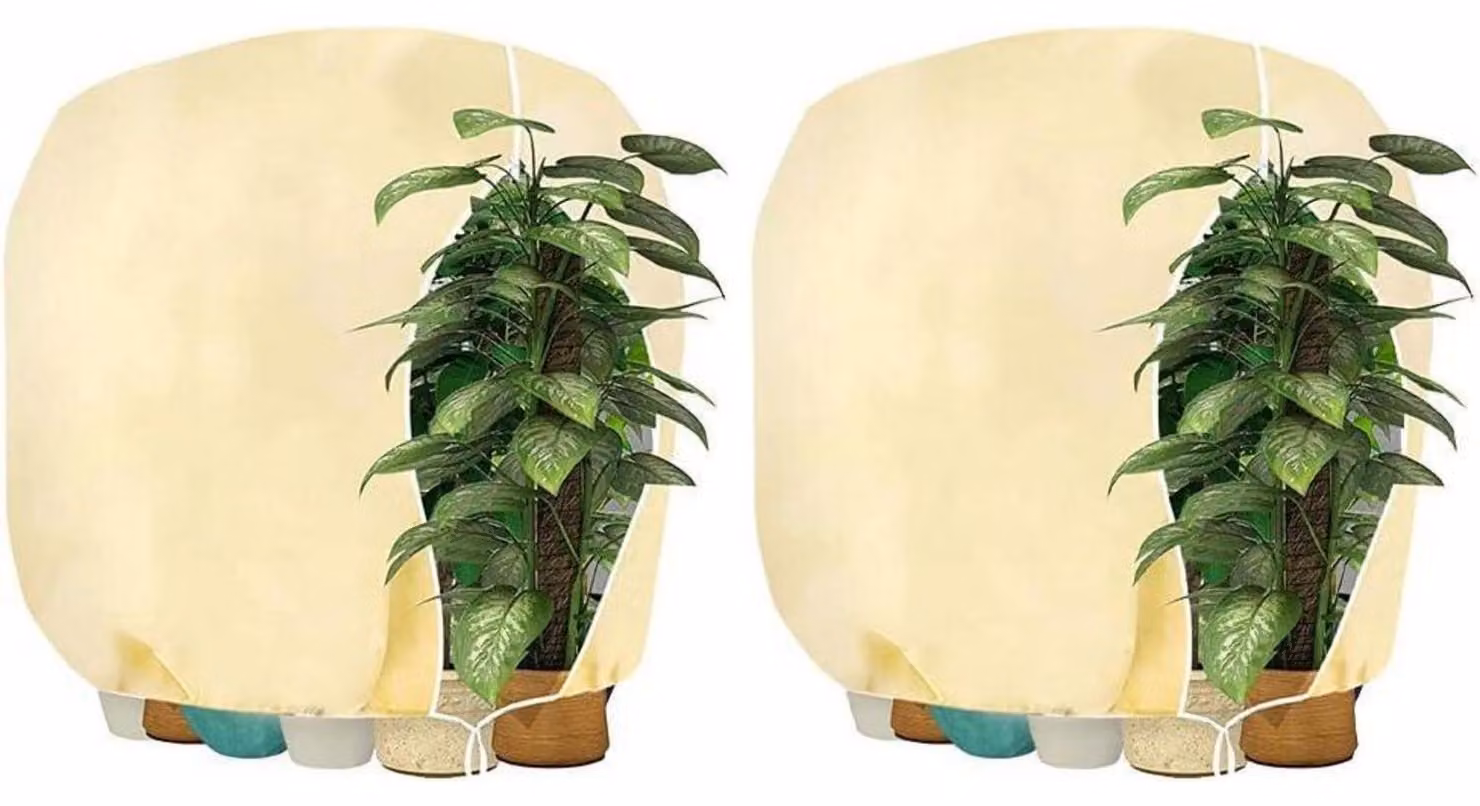Copertura protettiva per piante, 160x180 cm, color beige, confezione da 2 pezzi