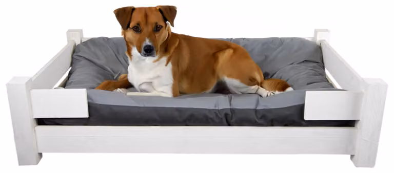 Cuccia per cani Winston XL in legno, con cuscino