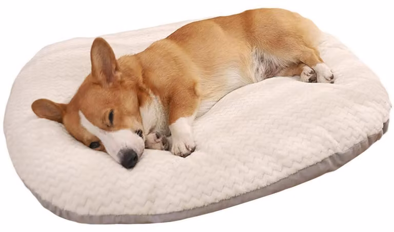 Cuccia ovale per cani XL, 95 x 75 cm, lavabile, morbida, calda e confortevole, ideale per cani e gatti
