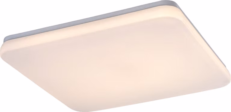 Rabalux 77136 Plafoniere per esterni Lowar LED 36 plastica bianco plastica