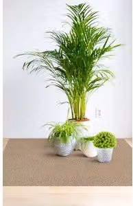 Copripavimento in PVC Idroweb Corallo 9845 Beige Spessore: 0,80 mm Superficie: 80 Mq