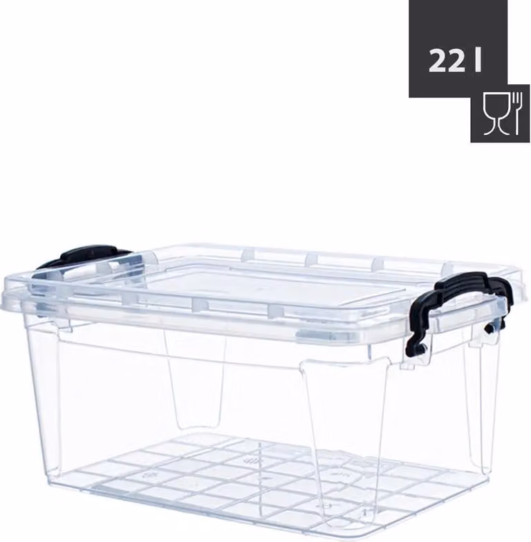 Scatola Livinja SOFIA 22 L, 48,5 x 32 x 21 cm, trasparente, manici neri, per alimenti, PP