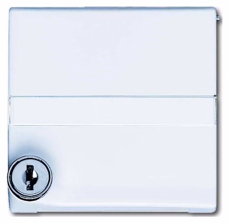 Anello intermedio Busch-Jaeger aws bloccabile 2118 GKSLN-34