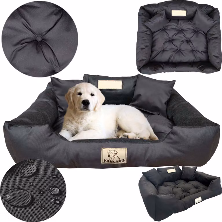 Cuccia per cani, divanetto impermeabile, 55 x 45 cm, spazio per il nome, lettiera, cuscini, divanetto, divano, recinto, nero