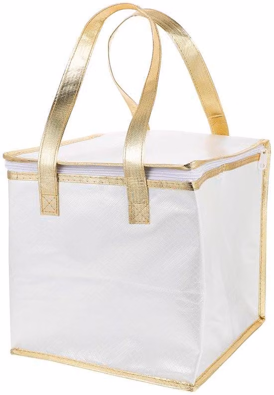 Valigetta termica isolata per picnic - Borsa termica - Valigetta isolata per feste in spiaggia, tavolino da spiaggia, picnic, pasti e barbecue