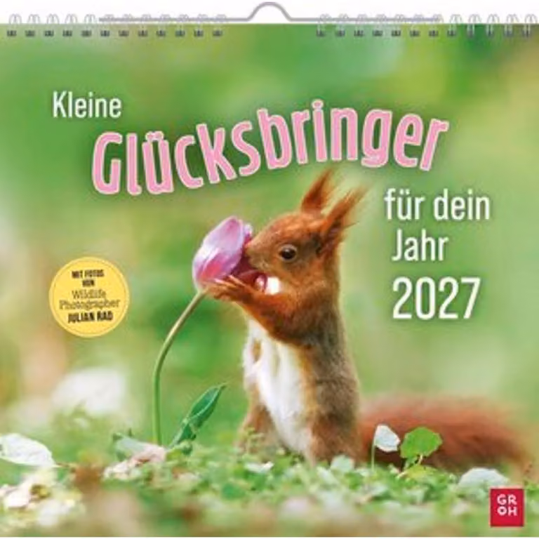 Calendario da parete 2027: piccoli portafortuna per il tuo anno