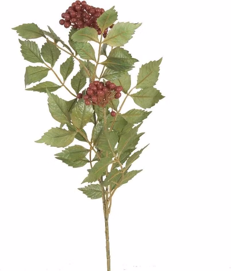 Clayre & Eef: Ramo decorativo con bacche rosse, 74 cm