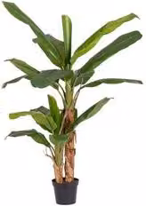 Pianta artificiale Banano Bizzotto verde con 10 foglie, Altezza: 210 cm
