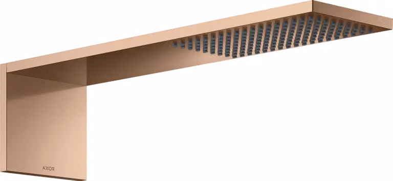 hansgrohe AXOR ShowerComposition module de douche de tête 110/220, 1jet, saillie 425mm, 12592300, 12592300