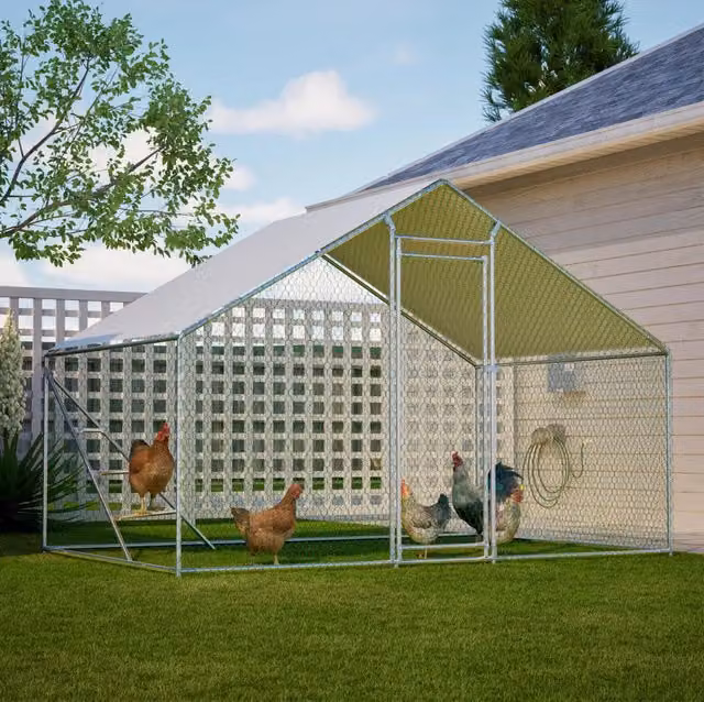 Recinto per polli ULEVR 3x2x2 m con copertura PE impermeabile, porta con chiusura e scala, acciaio zincato argento
