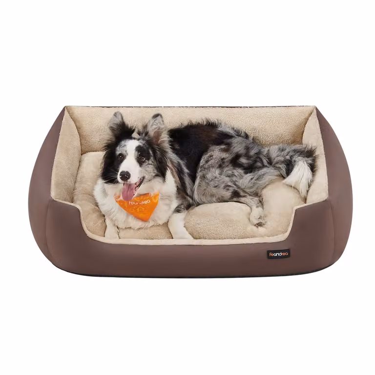 Cuccia per Cane Lavabile in Peluche, Marrone Caffè + Beige Sabbia / L 100 x P 75 x H 25 cm