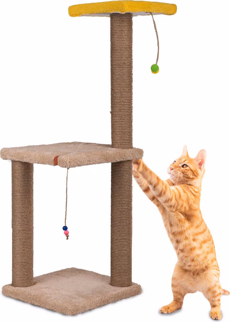 Albero tiragraffi XL 82 cm – Albero per gatti con colonna tiragraffi, giocattoli e superfici di riposo, stabile e resistente, ideale per arrampicarsi, giocare e curare gli artigli
