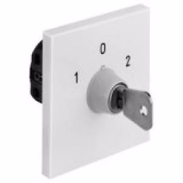 Kraus & Naimer INTERRUTTORE A CHIAVE 1 POLO UP (CA10.A290*A-V750.UE1)
