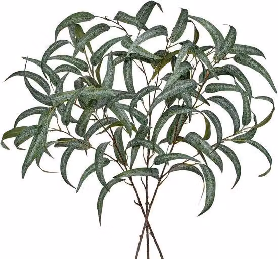 Composito in stile eucalipto, 3 pezzi, 86 cm, verde, per la primavera, soggiorno, inaugurazione della casa