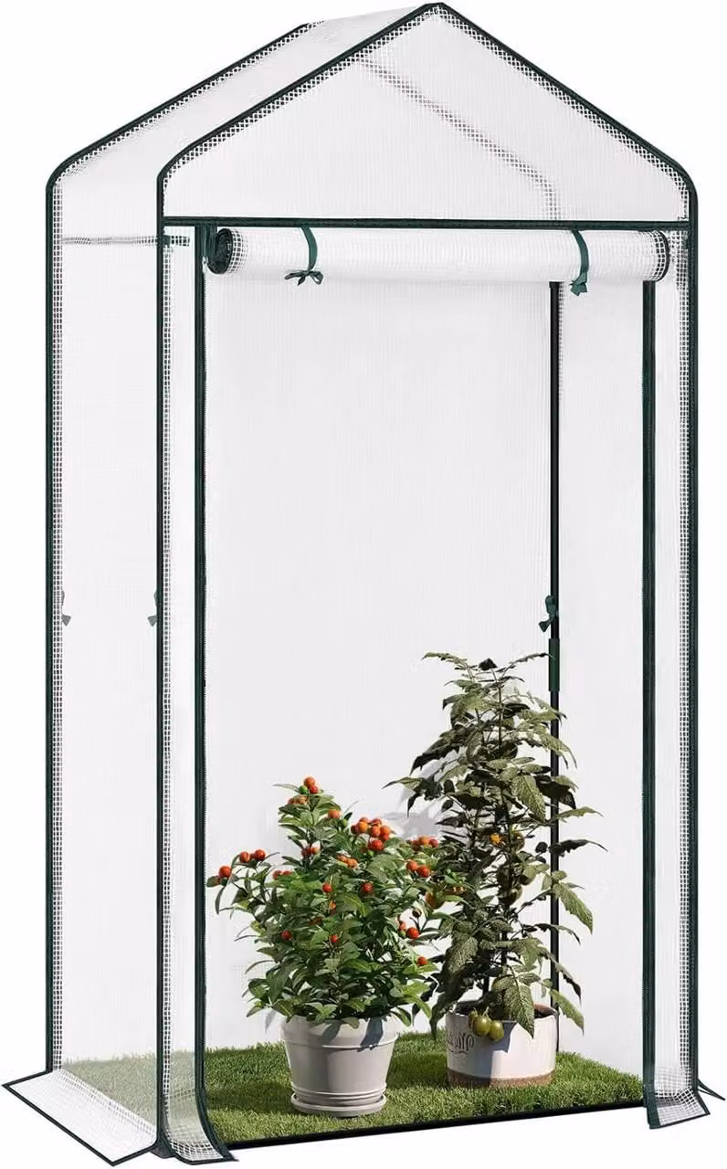 Serra da giardino in plastica | Bianco | 100x50x190 cm