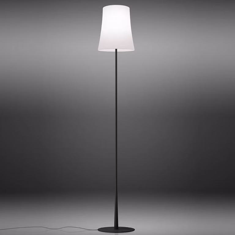 Foscarini Lampada da terra di design Birdie Easy, Nero, Soggiorno / Sala da pranzo, Metallo, Design, Lampada da terra