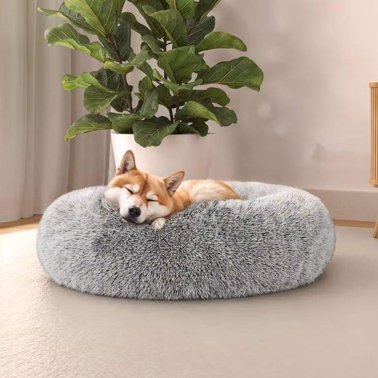 Letto per cani e gatti "Italian Bed Linen Dreams", modello "Kuscheliges Hundebett", colore "Perle", dimensioni 60 x