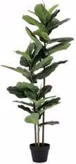 Set di 2 piante artificiali Ficus Lyrata Bizzotto con vaso in plastica, colore verde, Altezza: 145 cm