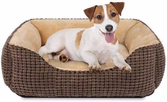 Cuccia per cani di taglia media, lavabile, morbido cuscino per cani, cuscino imbottito antiscivolo, 63x53x20 cm, cuscino per cani di piccola e media taglia e gatti