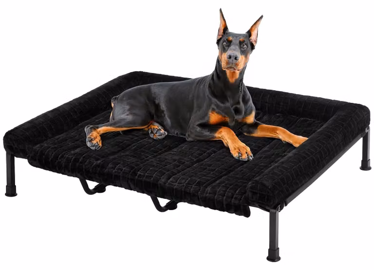 Letto per cani imbottito e rialzato, modello divano, colore nero