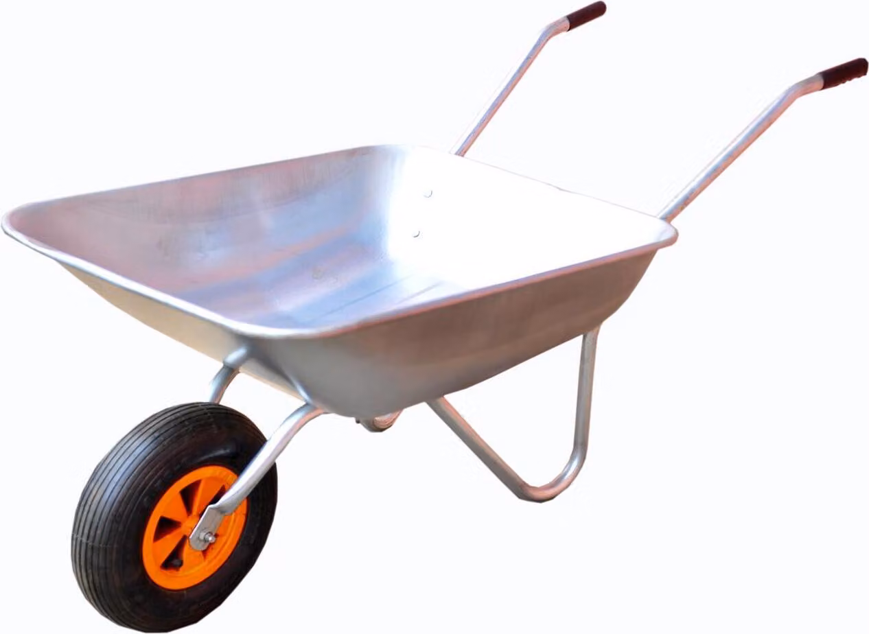 Carriola 80kg 60L carrello da trasporto, giardino, strumenti ruota pneumatica