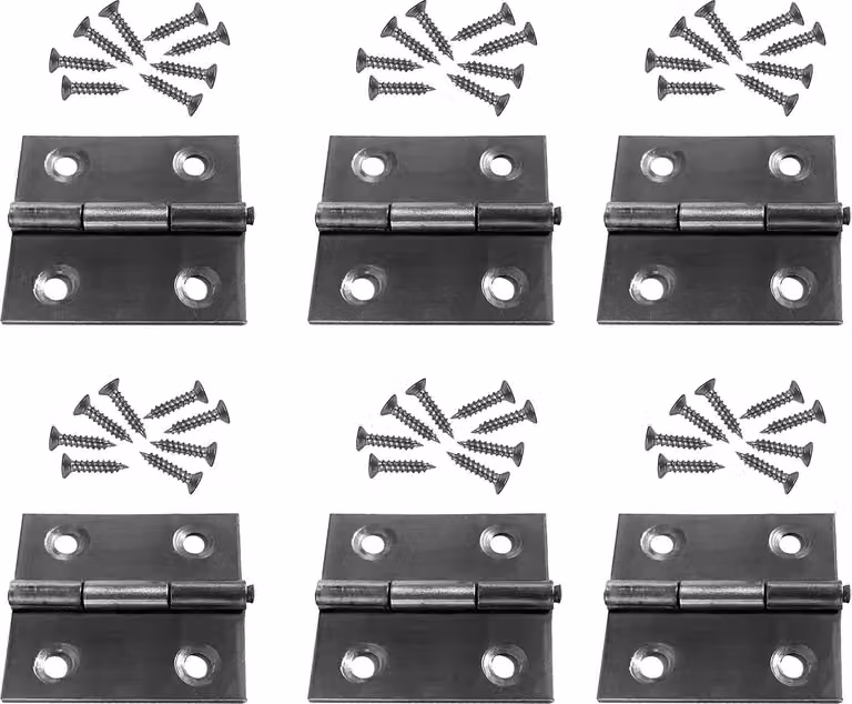 Set di 6 cerniere in acciaio inossidabile (misura 2: 36x38 mm)
