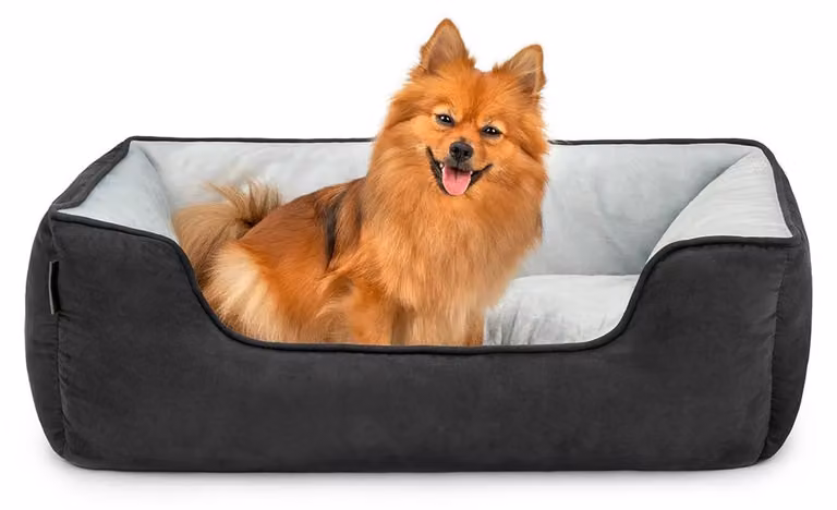 Cuccia per cani, dimensioni 80x60 cm, nera e grigia, con aspetto in pelle scamosciata, per uso interno