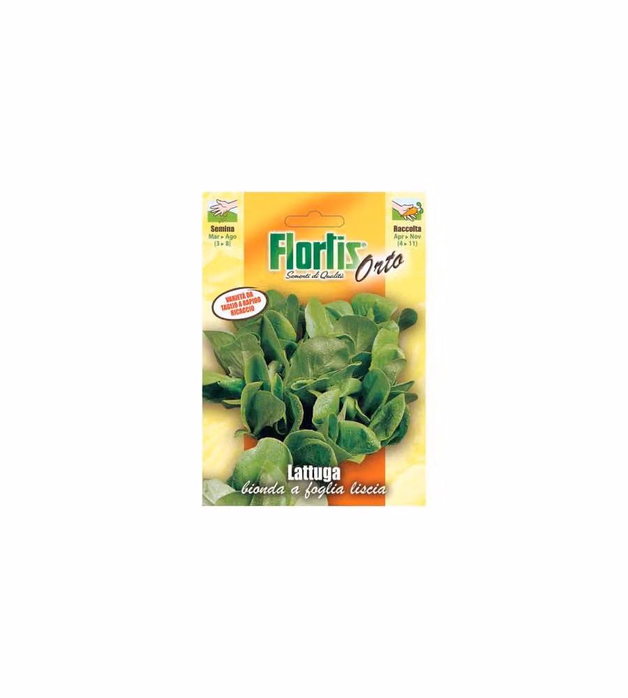 Lattughino Biondo a Foglia Liscia
