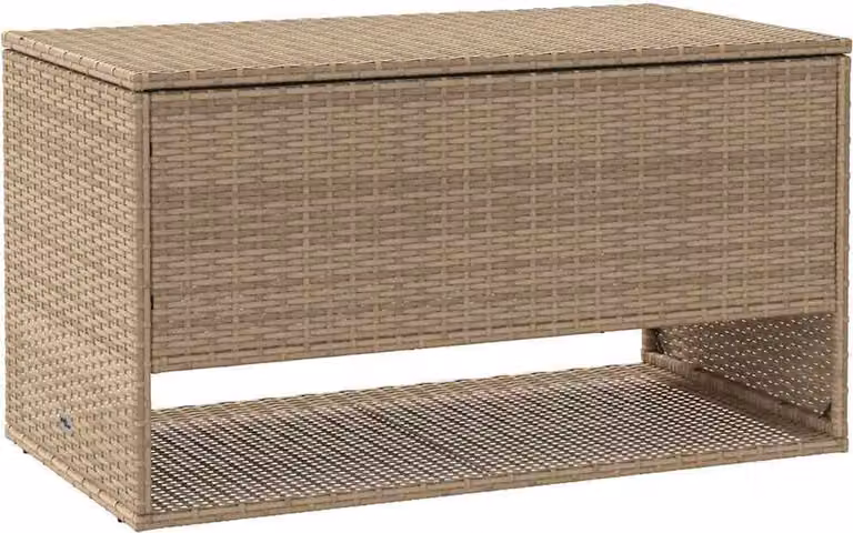Scatola per Cuscini da Esterno Beige 100x55x55,5 cm Polyrattan