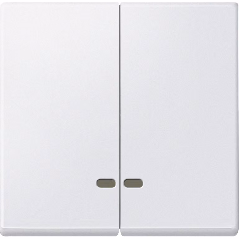Finestra di controllo pws a doppio bilanciere Merten MEG3420-0419