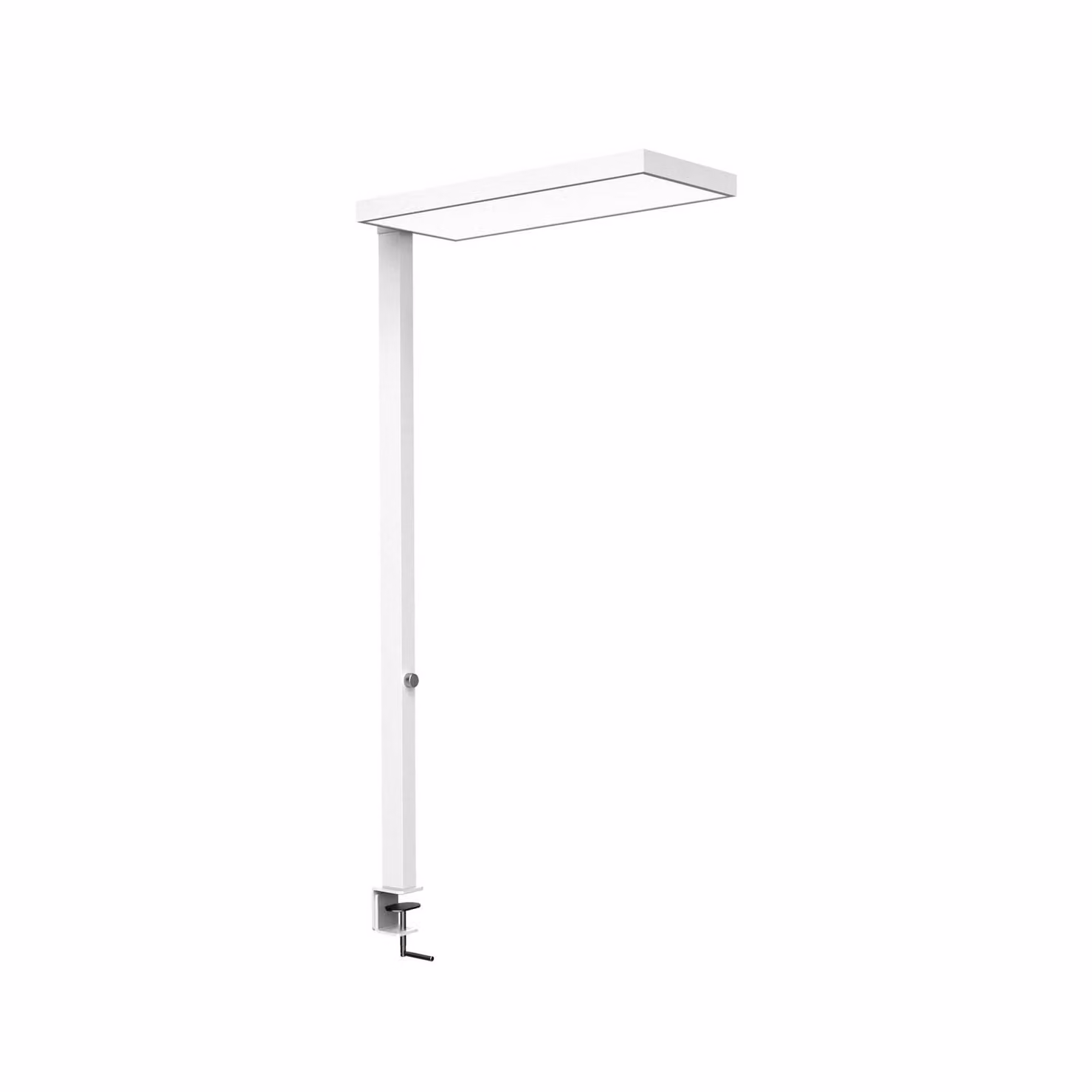 Maul Lampada con morsetto MAULjura, dimmerabile, Bianco / Opale, Studio / Ufficio, Alluminio, Moderno, Lampada con morsetto