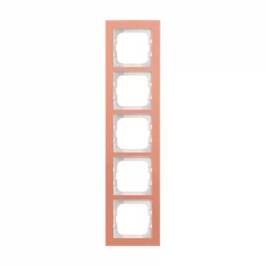 Busch-Jaeger 1725-227 | Cornice di copertura a 5 moduli